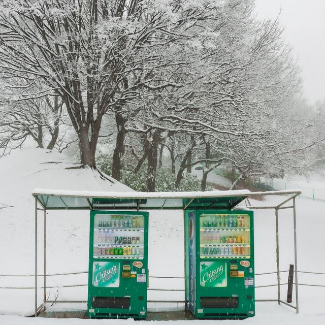 서울 속 삿포로, 잠실 올림픽 공원🌳❄️