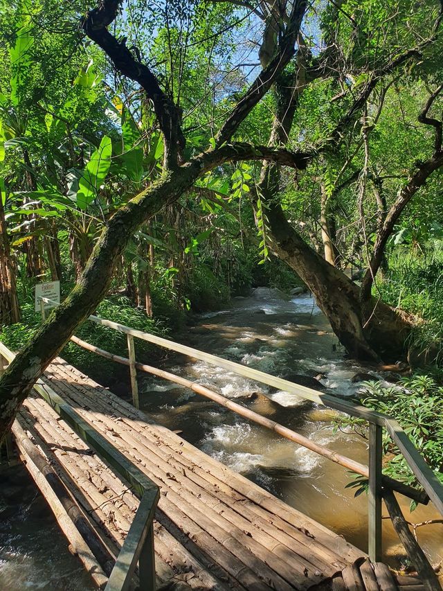 📍บ้านธารกล่อม The River Whisper
