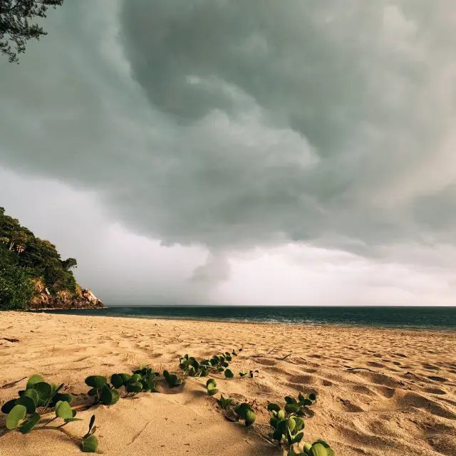 Magnificent Moo Koh Lanta National Park 2024