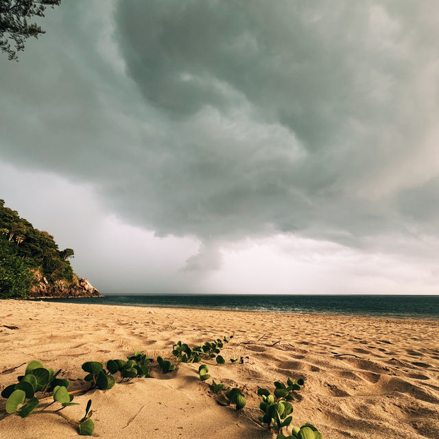 Magnificent Moo Koh Lanta National Park 2024