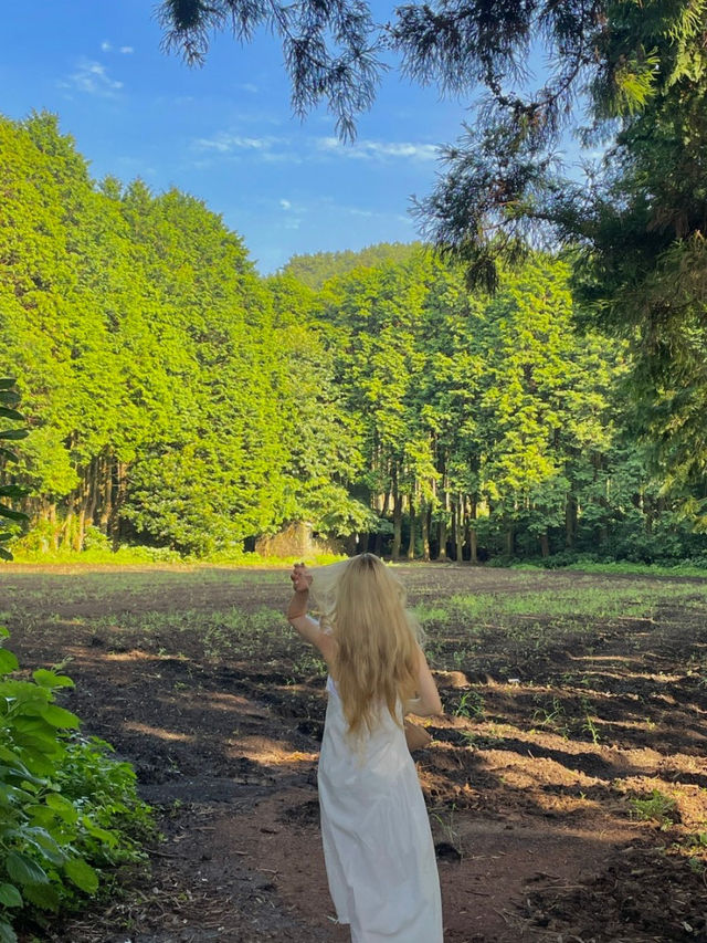 유럽 초원같은 제주도 핫플🕊