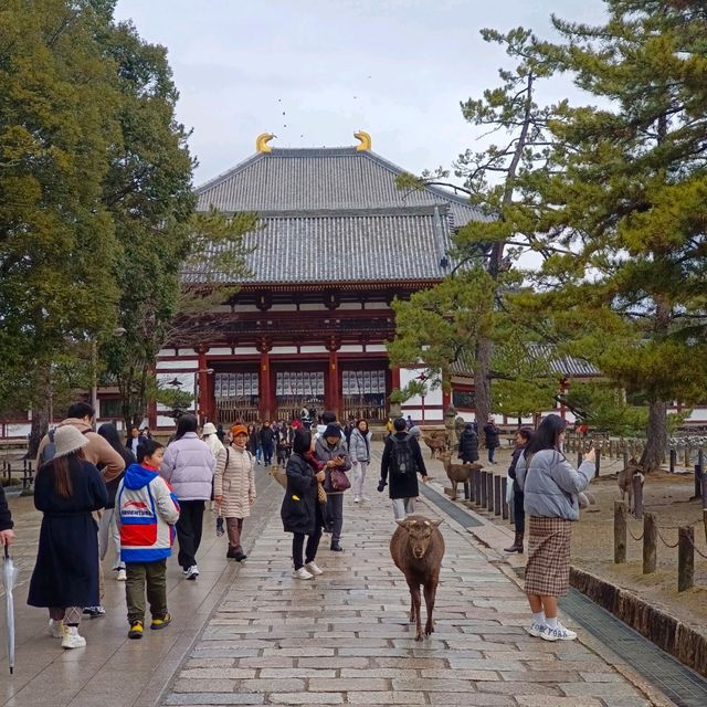 世界遺產東大寺