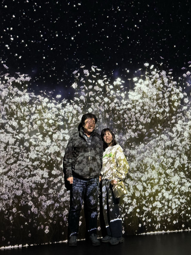 화려한 미디어아트의 향현, 강릉 아르떼뮤지엄🌸