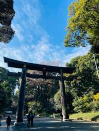 【東京都】一度は参拝してほしい日本一の初詣参拝者数を誇る明治神宮