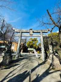 【愛知県】2024年(辰年)に行きたい若宮龍神社