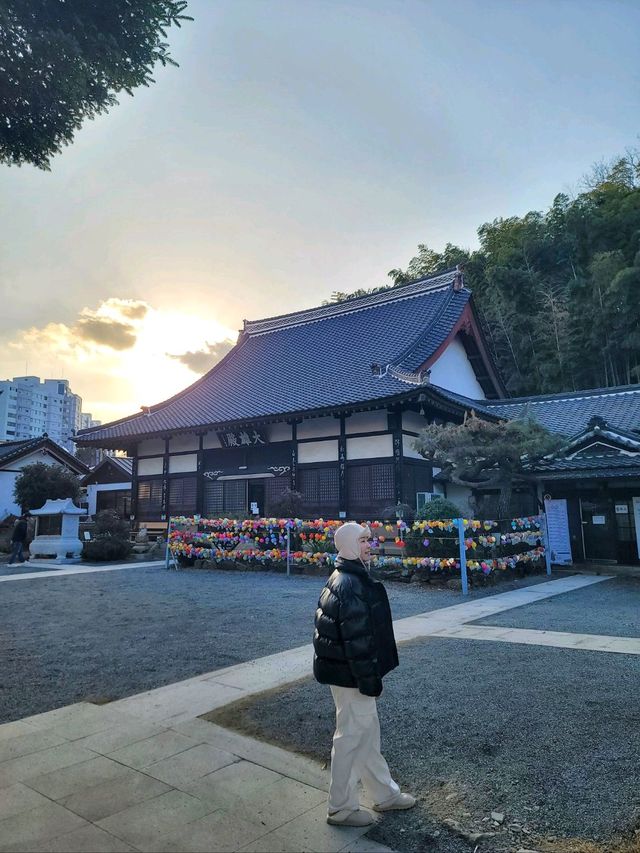 군산 근현대사 여행지로 추천하는 일본식사찰✨️
