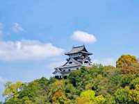 Inuyama Castle 