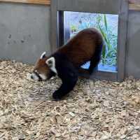親子之選～東山動植物園 