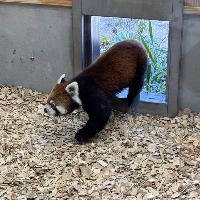 親子之選～東山動植物園 