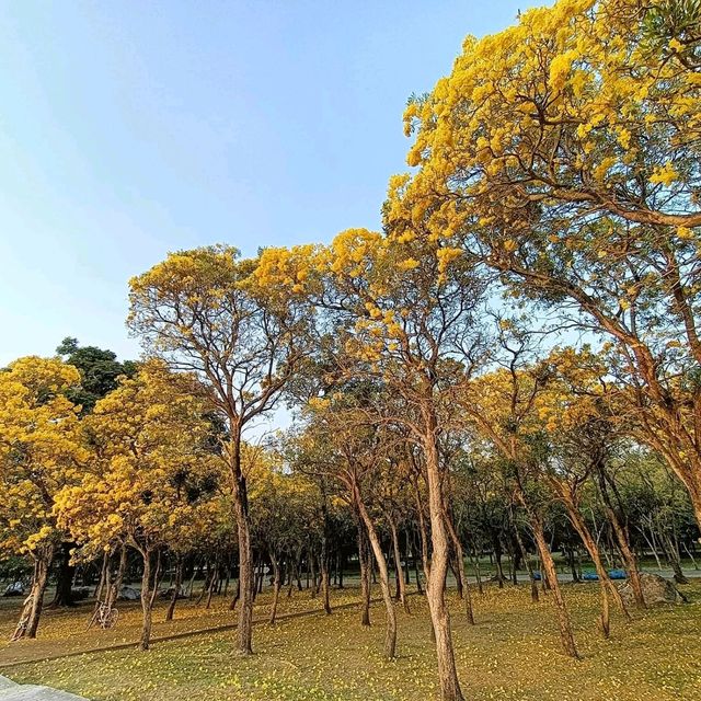 สวนพุทธมณฑล สาย4 