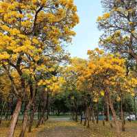 สวนพุทธมณฑล สาย4 