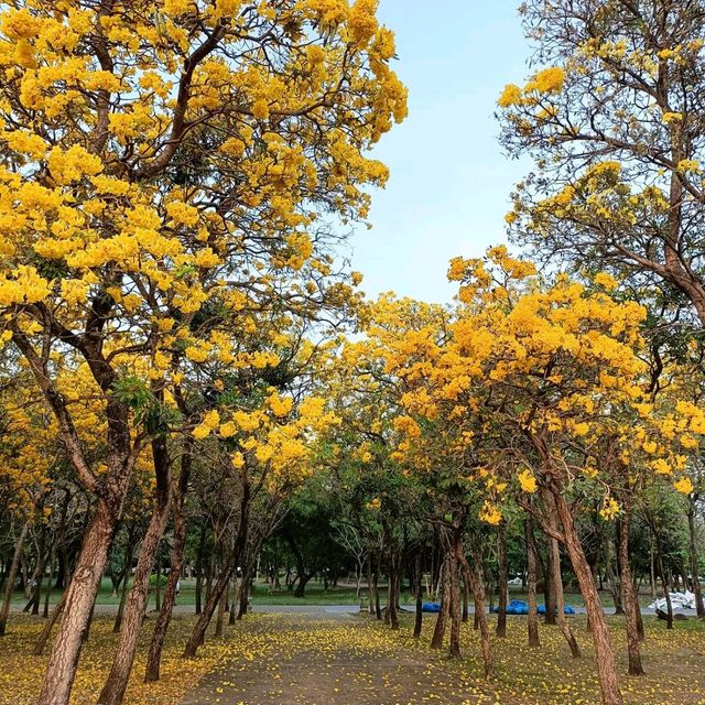 สวนพุทธมณฑล สาย4 