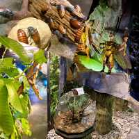 Entopia Butterfly Farm for Nature Lovers