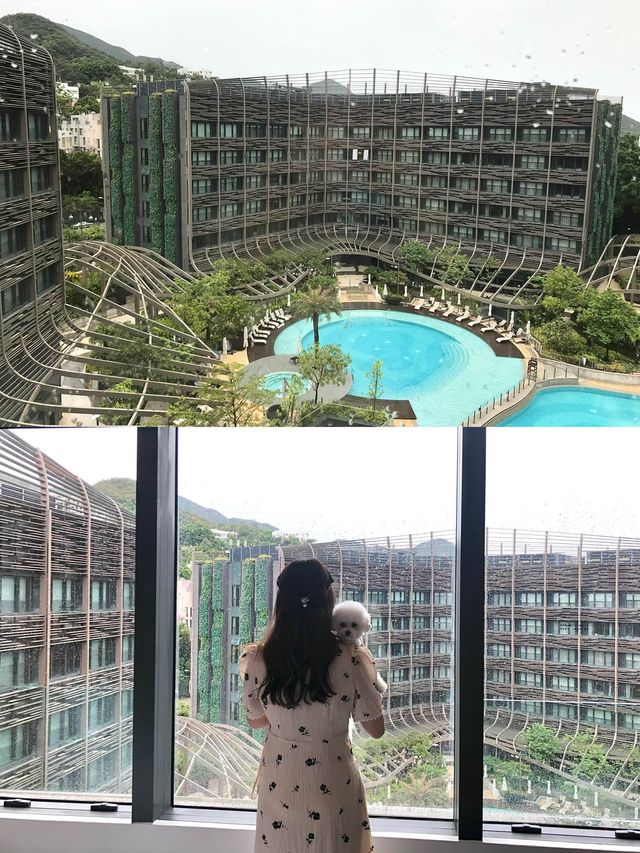 令人感到賓至如歸的寵物友善酒店-香港海洋公園萬豪酒店