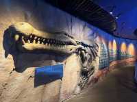 Dubai Aquarium