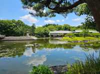 Well-maintained Traditional Japanese Garden