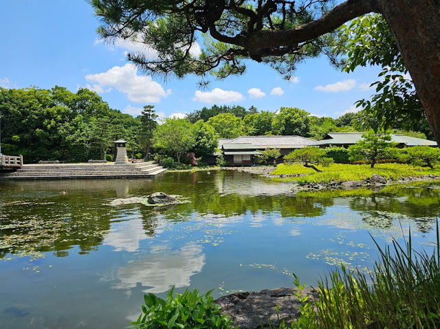 Well-maintained Traditional Japanese Garden