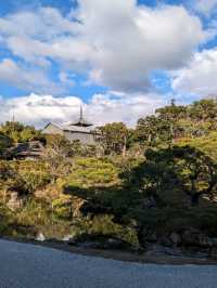 仁和寺の庭や池を眺めるていると、神社とは、また違う…寺院独特の荘厳な美しさを感じる