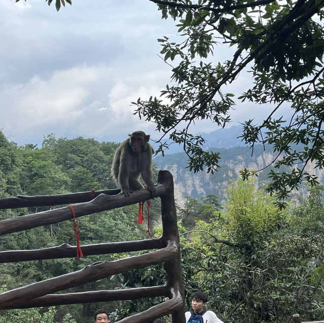 中国張家界　国家森林公園 アバターの世界