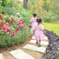 เราพาลูกๆมานอนในสวนกุหลาบที่ Rose Hill Heritage