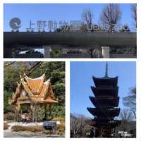 嘩嘩嘩🤩🤩令人大開眼界的上野動物園