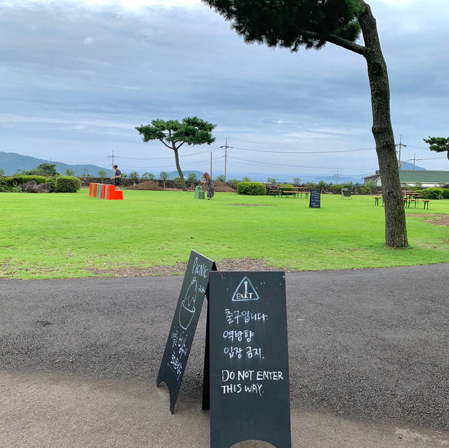 제주여행 필수코스 카멜리아 힐 🌳