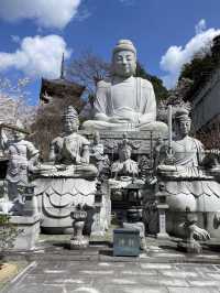 麗らかな春🌸大仏様とお花見しよう🌸壷坂寺 in 奈良