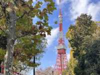東京タワーが綺麗に見える芝公園🗼
