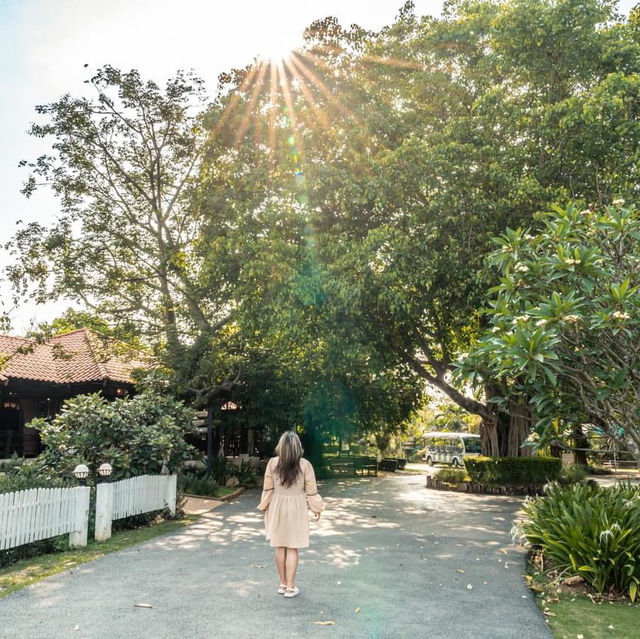 ⛰️เที่ยวเขาใหญ่ ฟีลเมืองนอก ทัวร์ชมไร่องุ่น