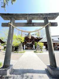 【行田八幡神社／埼玉県】花手水で溢れる境内