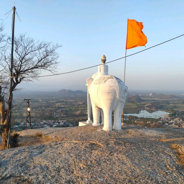 Elephant Hill - Narlai India