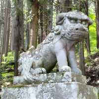 【戸隠神社宝光社/長野県】270余段の先にある神社 