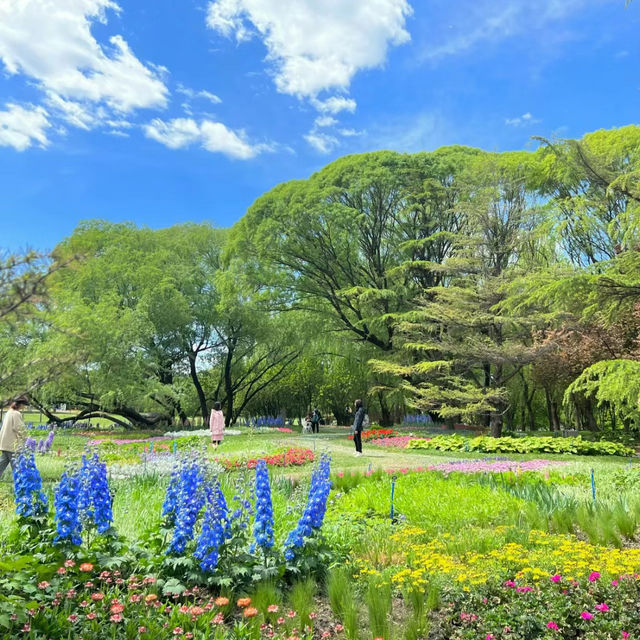 澳門水塘公園：世外桃源