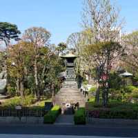 🌸วัด Sensoji (วัด Asakusa)🎍