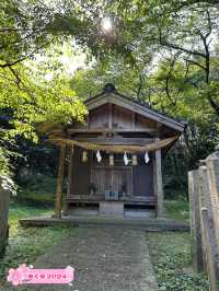 【福岡】北九州にあるお散歩しながら行ける神社