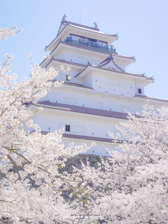  【福島】桜の季節に行ったら城が埋もれていた