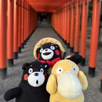 熊本的水前寺成趣園