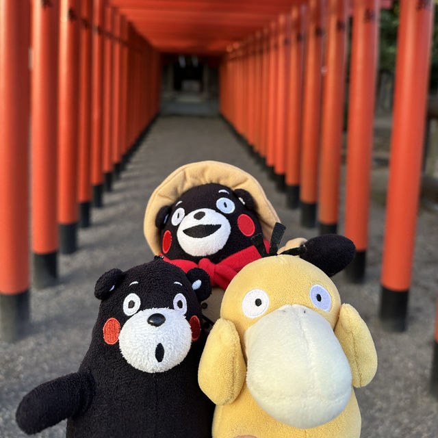 熊本的水前寺成趣園