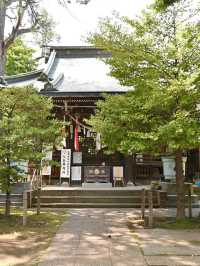 【上高田氷川神社/東京都】多様な古木に囲まれた神社