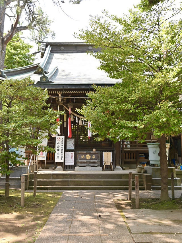 【上高田氷川神社/東京都】多様な古木に囲まれた神社