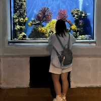 RAYONG AQUARIUM  