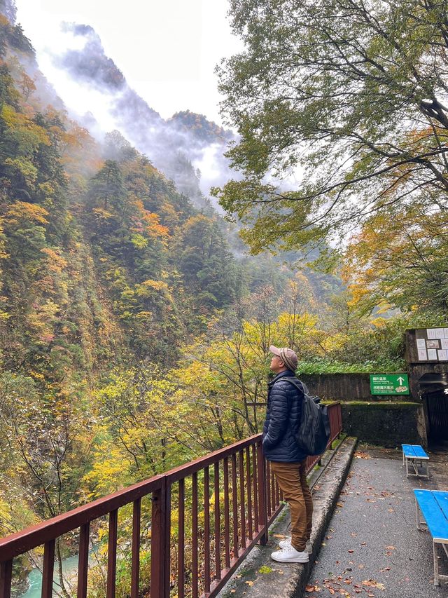 🚂 Kurobe Gorge ทางรถไฟสุดโรแมนติกในญี่ปุ่น
