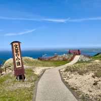 Wakkanai's Trio: Heritage and Nature