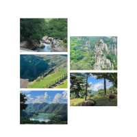 吹田山：春天花海，適合春天漫步