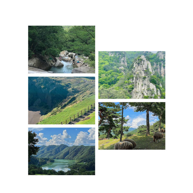 吹田山：春天花海，適合春天漫步