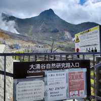 [需提前預約] 箱根大涌谷-自然研究路導覽