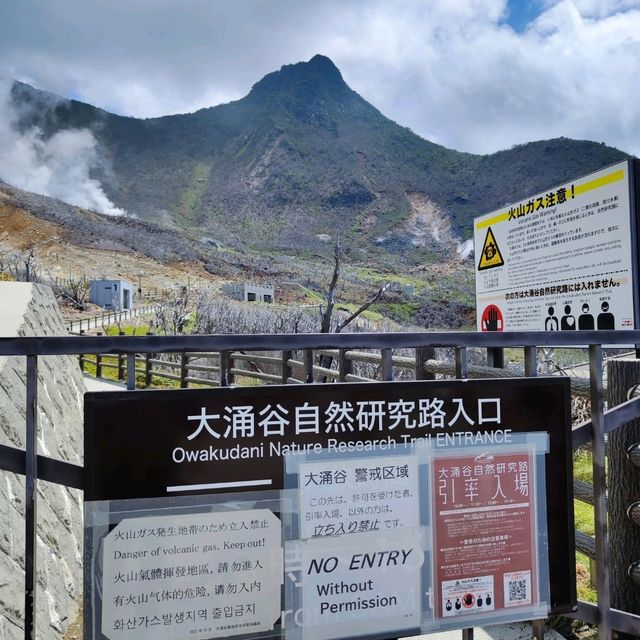 [需提前預約] 箱根大涌谷-自然研究路導覽