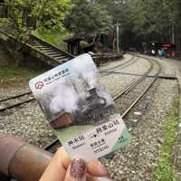 Alishan National Park 