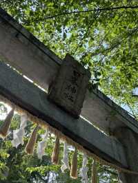 【福岡神社】花手水が美しい北九州の素敵な神社