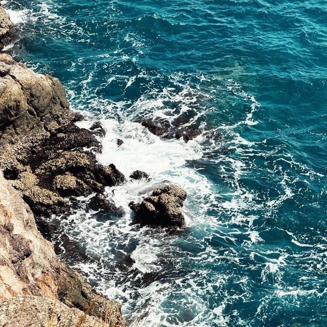 🍄เกาะมัน จน เกาะทะลุ
